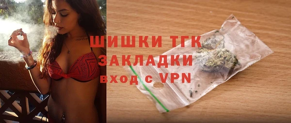 индика Арсеньев