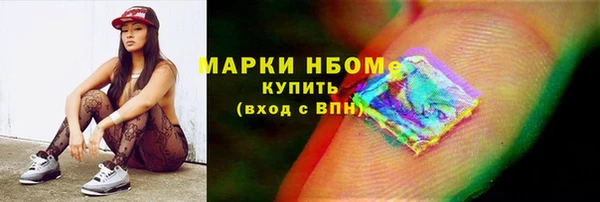 индика Арсеньев