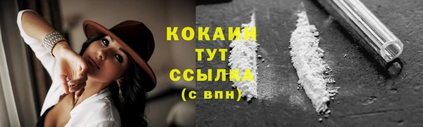 индика Арсеньев
