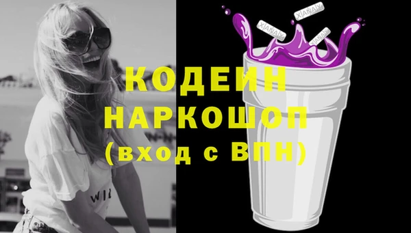 индика Арсеньев
