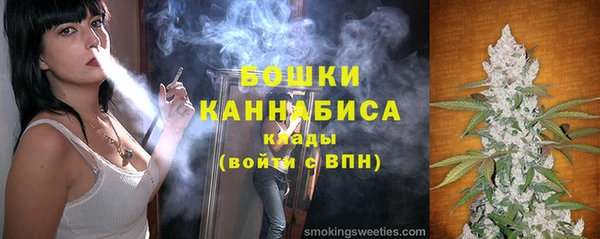 индика Арсеньев