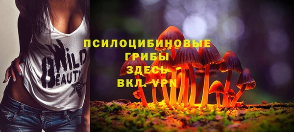 индика Арсеньев