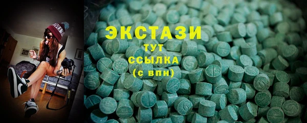 индика Арсеньев