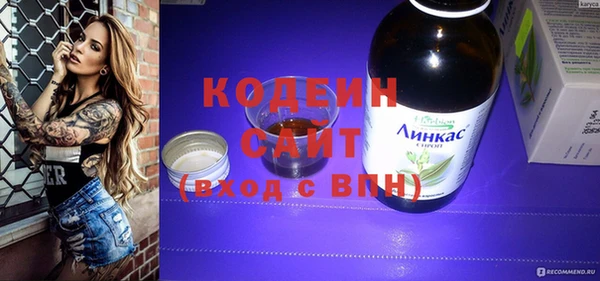 индика Арсеньев