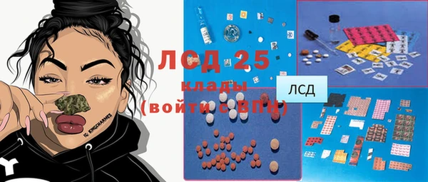 индика Арсеньев