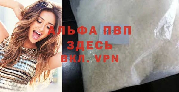 индика Арсеньев