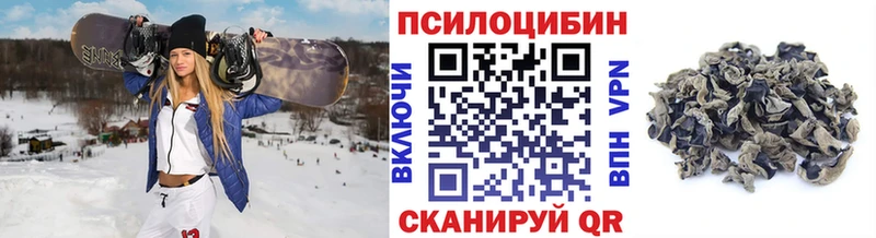 Галлюциногенные грибы мицелий  Кирово-Чепецк 